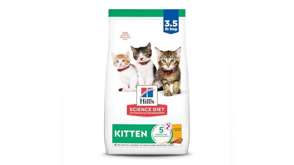 The Best Cat Food for Kittens
