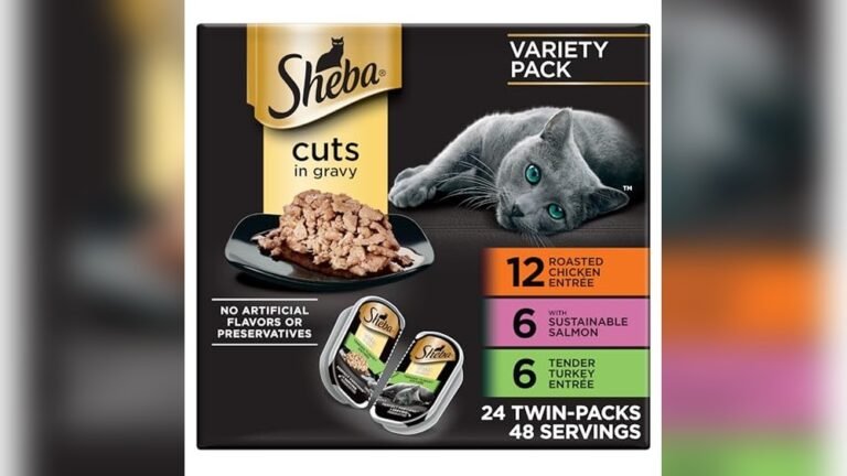 Wet Best Cat Food for Indoor Cats
