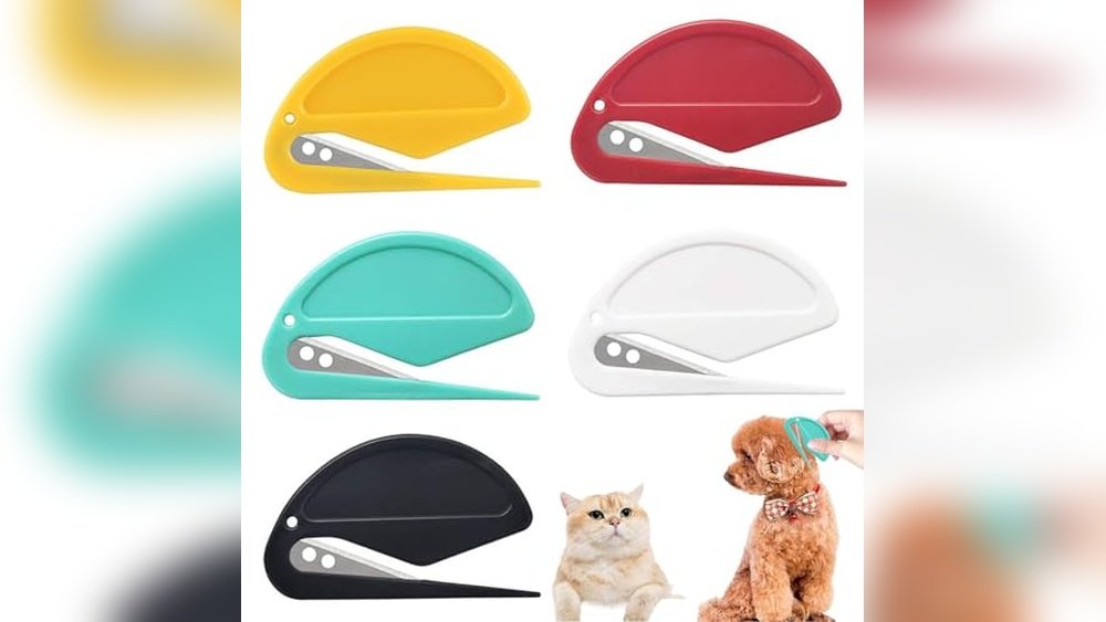 What are the Best Grooming Products for Cats