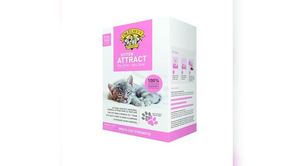 What is the Best Cat Litter for Kittens