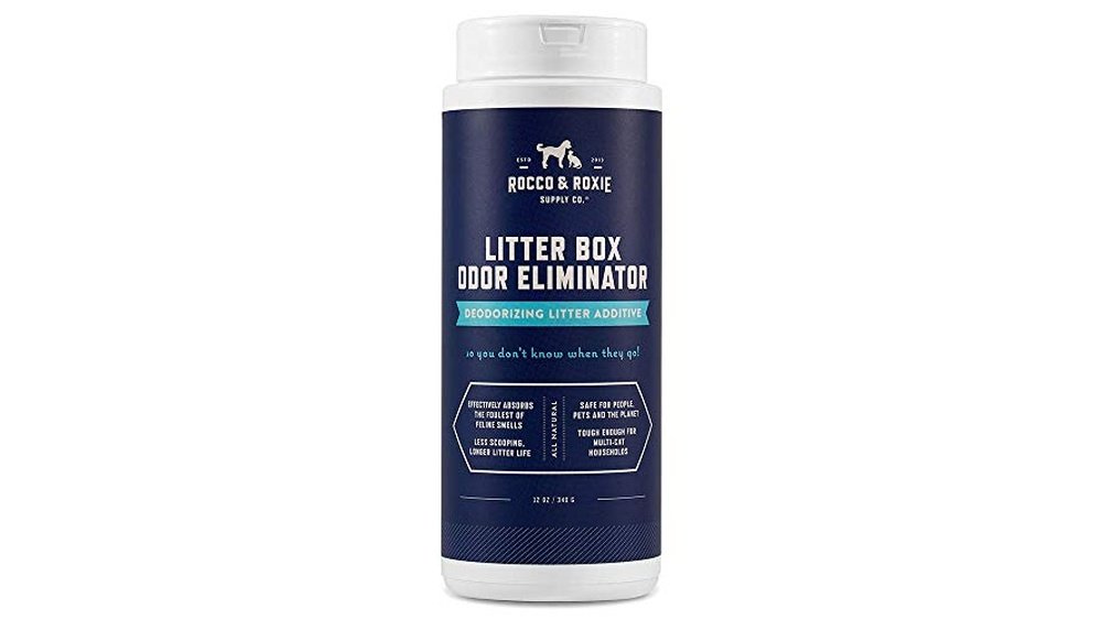 What is the Best Cat Litter for Odor