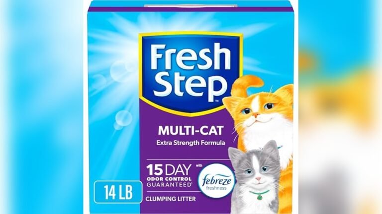 What is the Best Clumping Cat Litter for Multiple Cats
