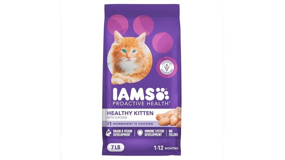 What is the Best Dry Food for Kittens