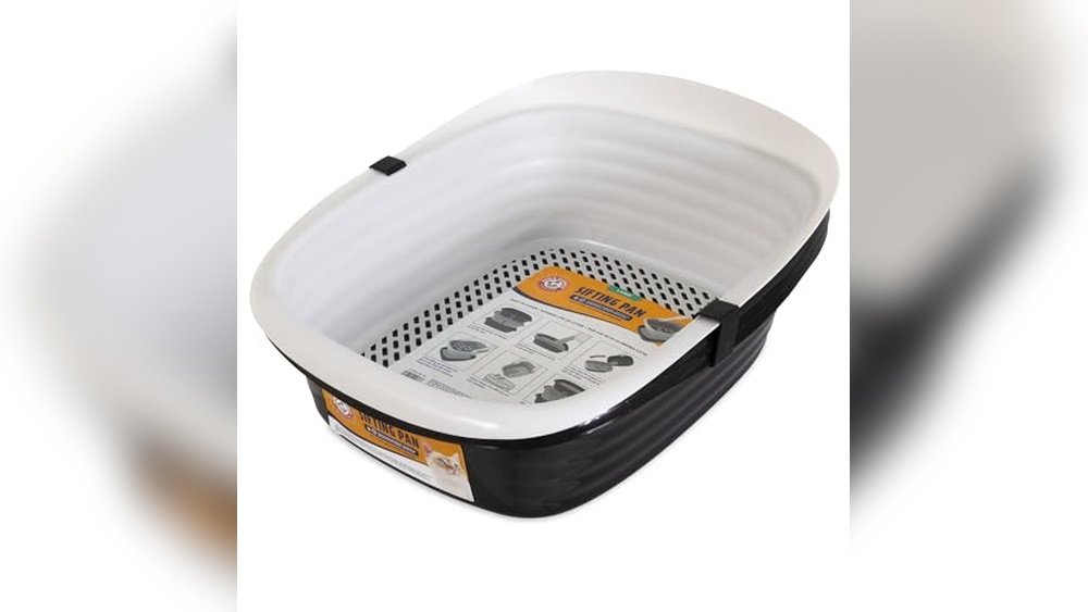 What Type of Litter Box is Best for Cats